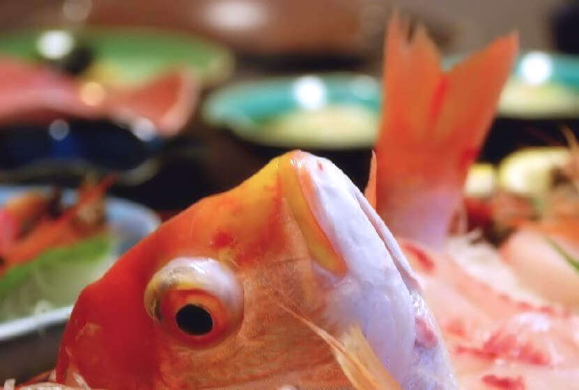 旬の魚介の舟盛料理